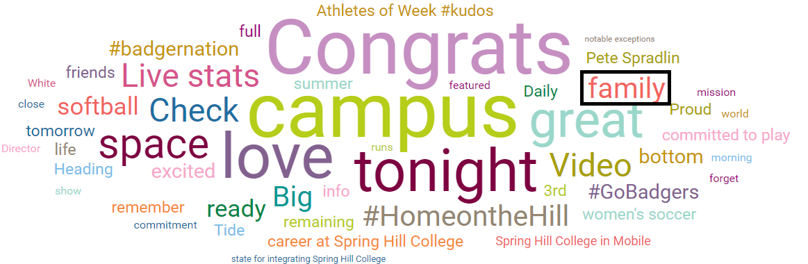 Word cloud for Spring Hill College with "family" called out as a main topic